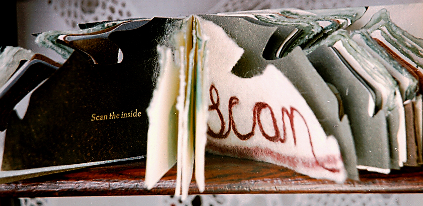 mixed media about the want of privacy and the lack of. unique book.