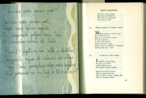 tradução de um poema em inglês chamado "I asked no other thing" by Emily Dickinson. português